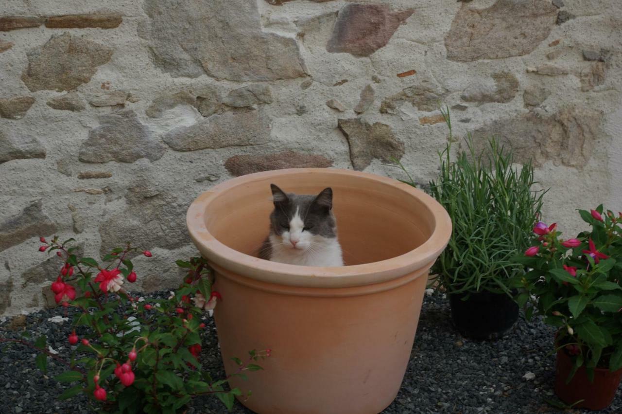 Saint-Viaud Les Trois Etangs Bed & Breakfast エクステリア 写真